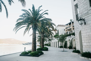 Fototapeta na wymiar Beautiful view of the embankment or the street with houses and many palm trees in the coastal city of Tivat in Montenegro.