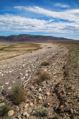 Bartogai Lake in southeastern Kazakhstan