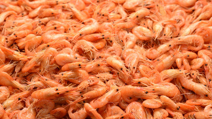 Tasty fresh shrimps as background.