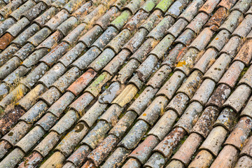 Roof Tiles Texture
