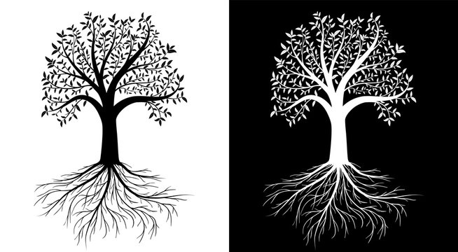 Vector tree with leaves and roots