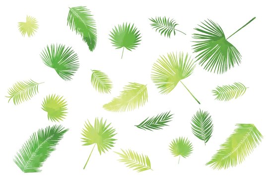 Green palm leaves kit, individual elements on white background