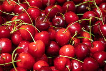Fresh cherries in a farmer agricultural open air market, seasonal healthy food. Concept of biological, bio products, bio ecology, grown by yourself, vegetarians