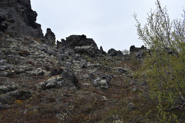 The lava field Dimmu Borgir in Myvatn, Iceland