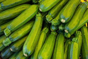 Fresh green zucchini or courgette in a farmer agricultural open air market, seasonal healthy food. Concept of biological, bio products, bio ecology, grown by yourself, vegetarians