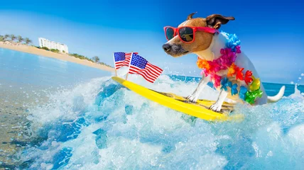 Papier Peint photo Lavable Chien fou chien surfeur à la plage