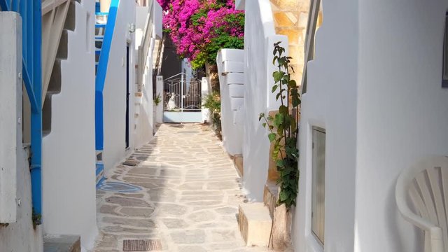 Walking in Naousa street on Paros island, Greece