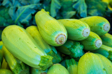 Fresh white zucchini or courgette in a farmer agricultural open air market, seasonal healthy food. Concept of biological, bio products, bio ecology, grown by yourself, vegetarians