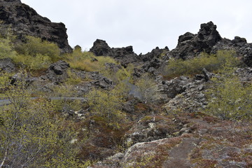 The lava field Dimmu Borgir in Myvatn, Iceland
