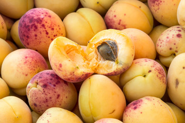 Background of large ripe apricots