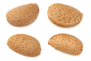 almonds isolated on white background top view