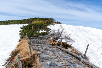 Nature trail at Murodo on Tateyama Kurobe Alpine Route.