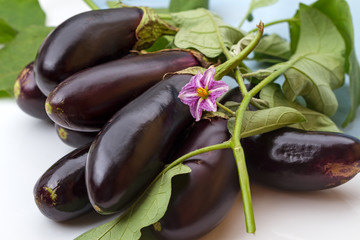 Ripe eggplant and flower