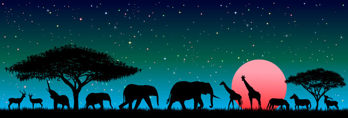 Wild animals in the night African savannah. Silhouettes of wild animals of the African savanna. Wild african animals against the night sky © Oleg Lytvynenko