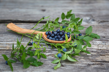 Blueberries are in a wooden spoon on a gray wooden background.