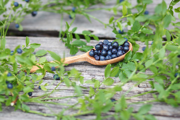 Blueberries are in a wooden spoon on a gray wooden background.