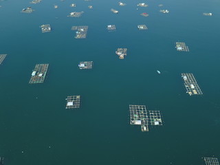 seafood farming by the seashore
