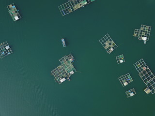 seafood farming by the seashore