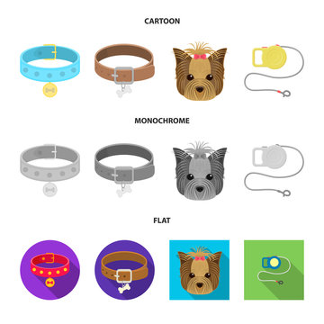 Isolated object of pet and accessories icon. Set of pet and shop stock symbol for web.