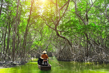 People boating in mangrove forest, Malaysia