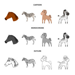 Vector design of trot and running icon. Set of trot and clipart stock symbol for web.