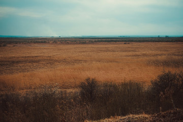 Field, dry grass, sky.