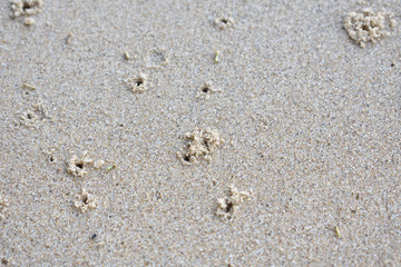 irregular small holes on smooth sand