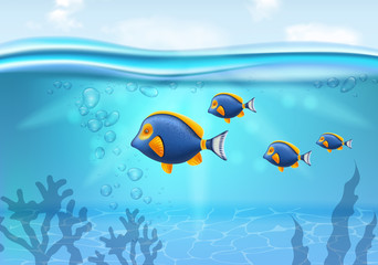 Naklejka na ściany i meble Sea party banner Vector realistic with small colorful fish illustrations