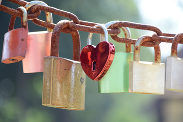 Love padlocks on a rusty chain on a sunny day