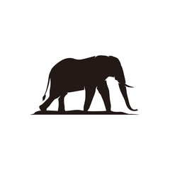Fototapeta na wymiar silhouette of an elephant