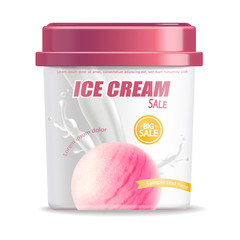 Ice cream bucket isolated Vector realistic. Berry fruits flavor Detailed 3d illustrations
