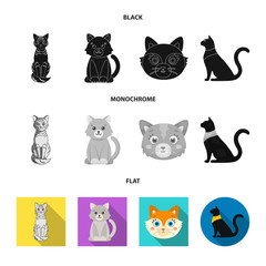 Vector design of pet and sphynx logo. Set of pet and fun stock symbol for web.