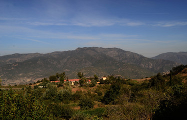 medea landscape