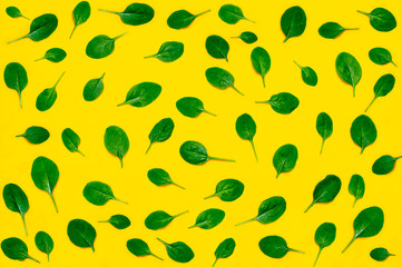 Fresh green spinach leaves on bright yellow background flat lay top view copy space. Baby young spinach leaves, Ingredient for salad, healthy food, diet. Nutrition concept. Creative food concept