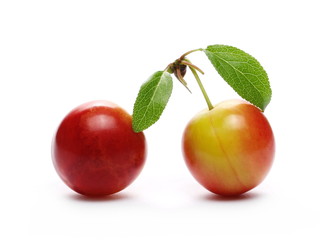 Wild red plums with leaves and twigs, isolated on white background