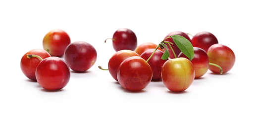 Wild red plums with leaves and twigs, isolated on white background