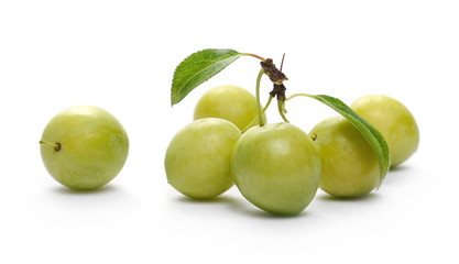 Wild yellow plums with leaves and twigs, isolated on white background