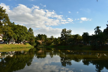 Naklejka na ściany i meble lake in the park