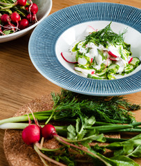 summer fresh salad with radishesa and cucumber