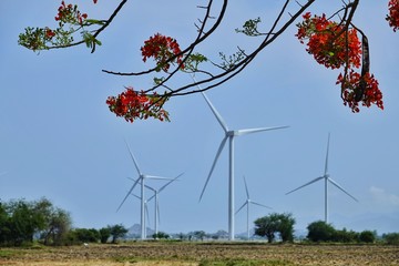 landscape of wind turbines field