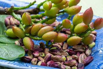 Emerald green pistachios nuts from town Bronte, located on slopes of Mt. Etna, Sicily, Italy regional product