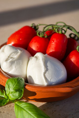 Italian mozzarella soft cheese in balls served with tomatoes and fresh basil
