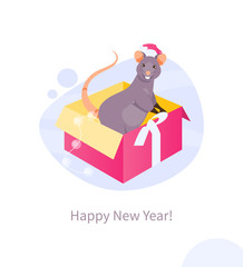 Christmas Rat in a box