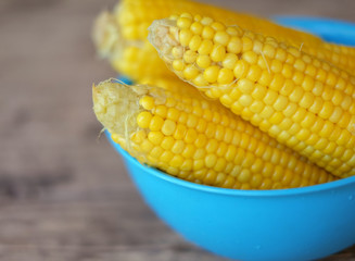 Boiled corn on the cob in a blue bowl