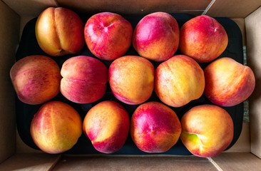 Top view of fresh peaches in cardboard box just harvested 