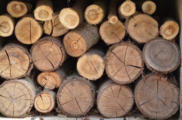 Texture of sawn logs. Natural neatly folded logs, flat lay