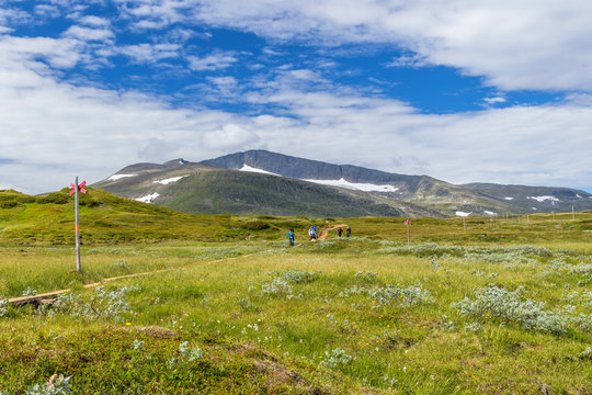 Hiking trail with hikers in Helag's mountain scenery in Sweden