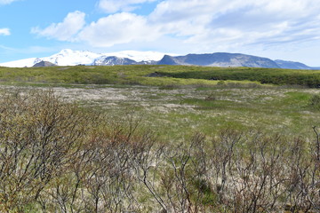 Hiking trail to the big Svartifoss Waterfall in the south of Iceland
