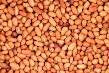 groundnut kernels
