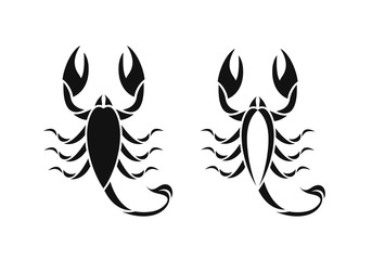 Abstract scorpion. Isolated scorpion on white background